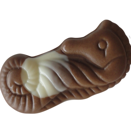 čokoláda, plody mora, morský koník